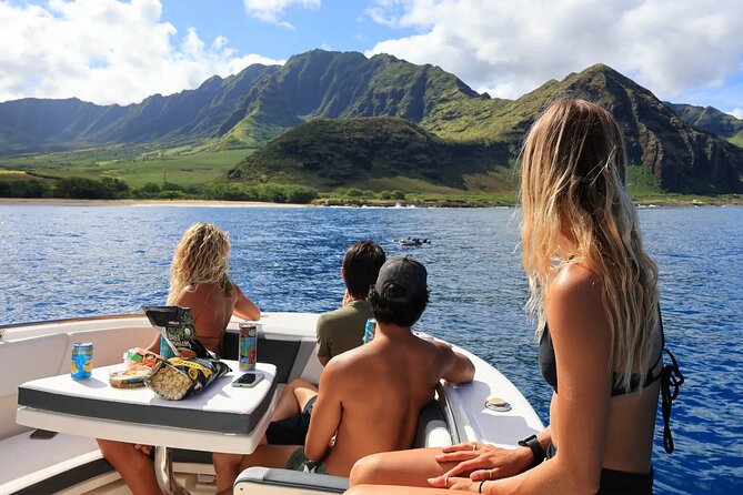 Swim With Dolphins & Turtles in West Oahu (Semi-Private Tours) - Safety and Accessibility