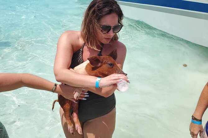 Swiming Pigs and Shark Tour Nassau to Exuma by Plane and Boat - Plane and Boat Transportation