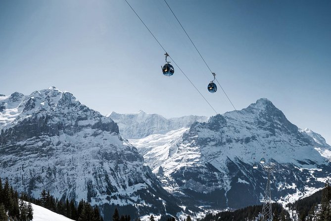 Swiss Alps: Interlaken and Grindelwald Day Trip From Zurich - Additional Information