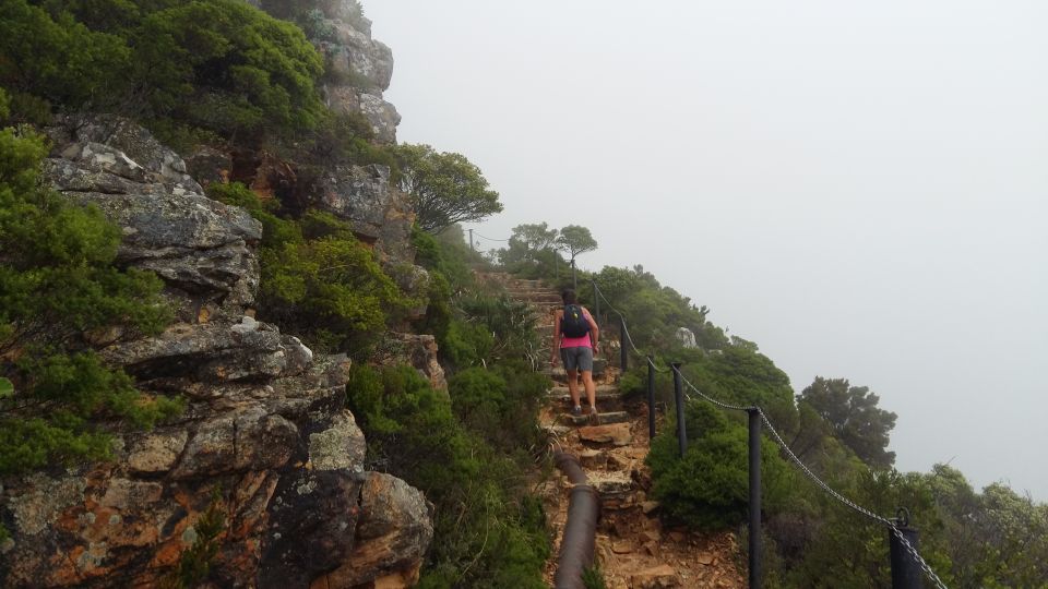 Table Mountain: Easy Walk for the Whole Family - PRIVATE - Refreshments and Snacks