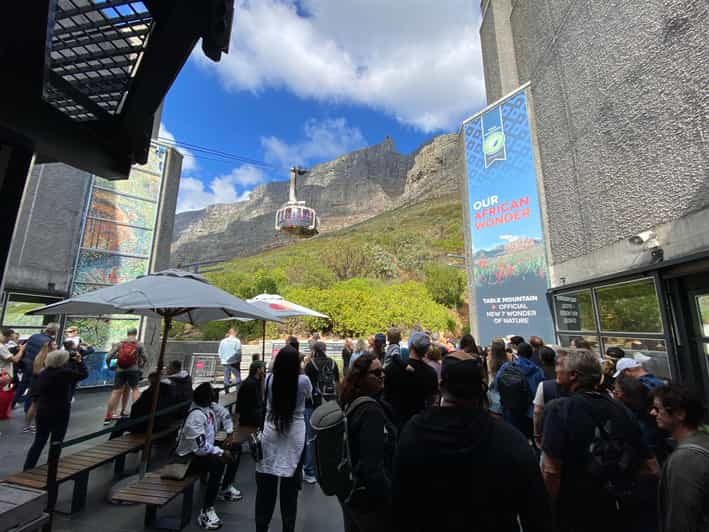 Table Mountain, Penguins & Cape of Good Hope Private Tour - Encounter Boulders Penguin Colony