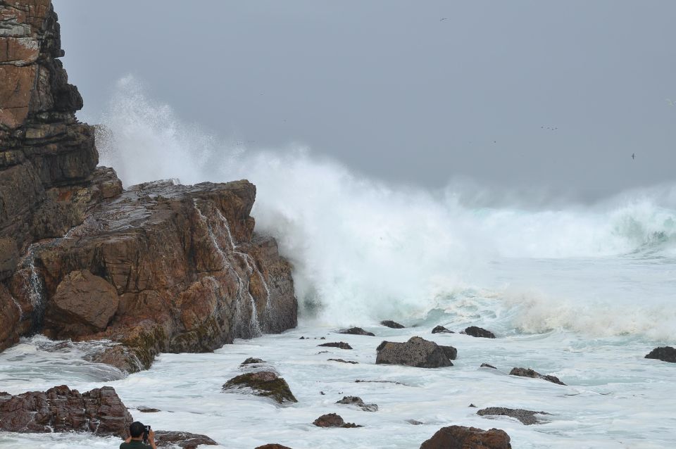 Table Mountain, Penguins & Cape of Good Hope Private Tour - Important Information