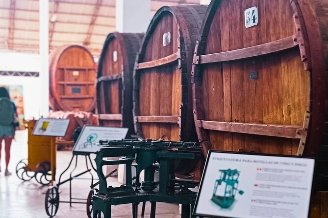 Tacama Wine Experience and Pisco Museum and Pisco Sour Class - Accessibility and Participation
