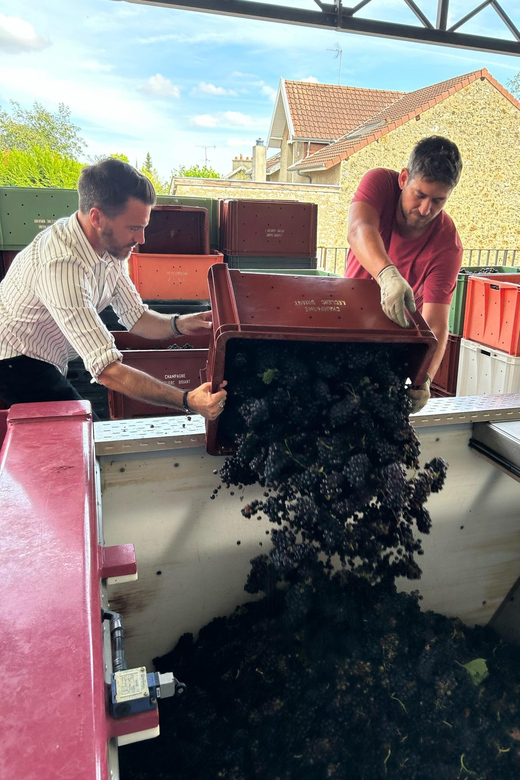 Tailormade Experience in Champagne - Booking Information and Availability