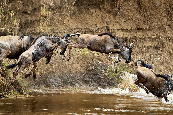 Take Me to Tarangire and Ngorongoro -3 Days - Day 2: Lake Manyara Adventure