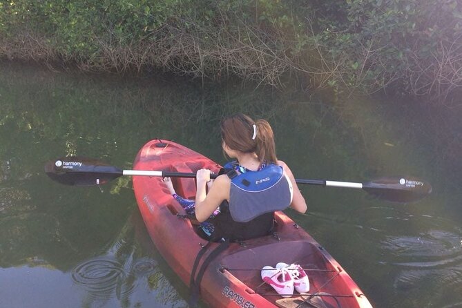 Tamarindo River Guided Kayak Mangrove & Environment Watching Tour in Guanacaste - Exploring Tamarindos Mangroves