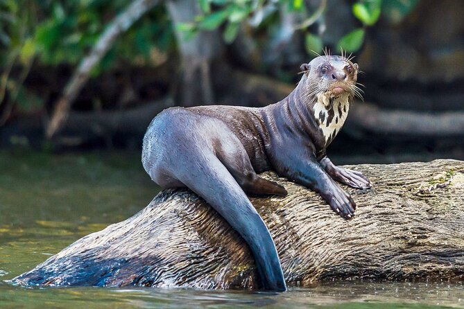 Tambopata National Reserve Tour (3 Days) - Tour Inclusions