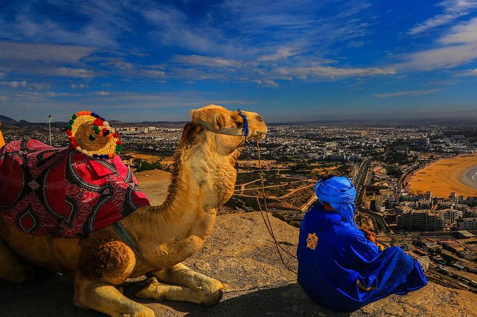 Tangier Small Group Shared Tour - Traveler Feedback and Reviews