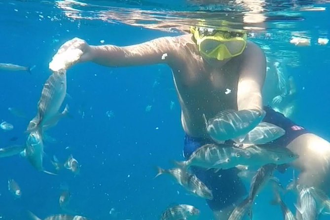 Taormina Snorkeling Experience - Reviews and Feedback