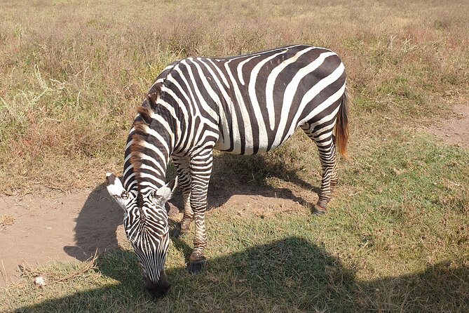 Tarangire, Serengeti, Ngorongoro & Lake Manyara Group Safari (5 Days) - Accommodation Details