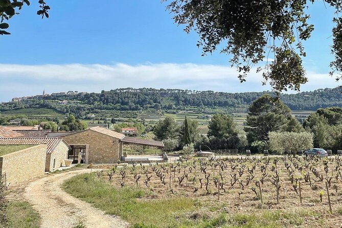 Tasting Bandol Wines & Visit of Cellar (in English) - Menu and Offerings