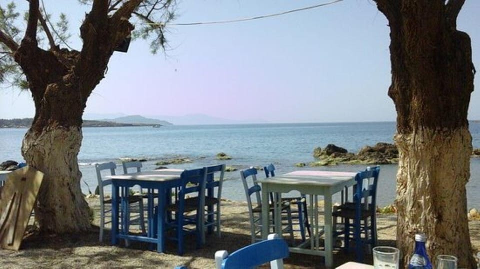 Tasting/Discovering Cretan Grape Varieties by the Seaside! - Accompanying Tasting Amenities