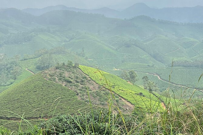 Tea Plantation, Grass Land and Mountain Hiking in Munnar - Essential Packing Tips