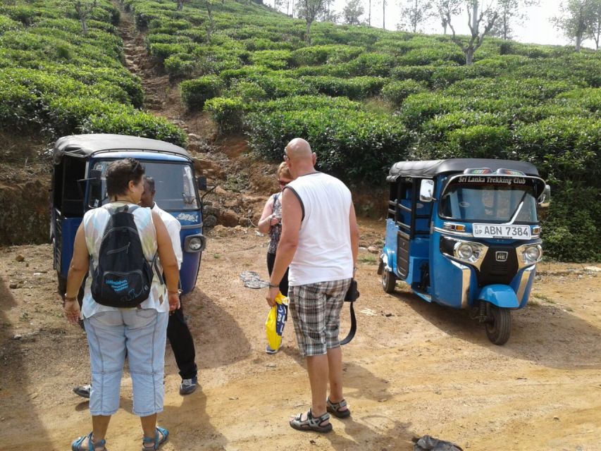 Tea Plantations by Tuk Tuk & Diyaluma Waterfall With Picnic - Ravane Falls and Nature Trails