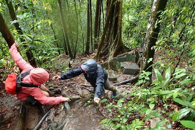 Templer Park and Kanching Waterfall Tour With Batu Caves Stopover - Included Services