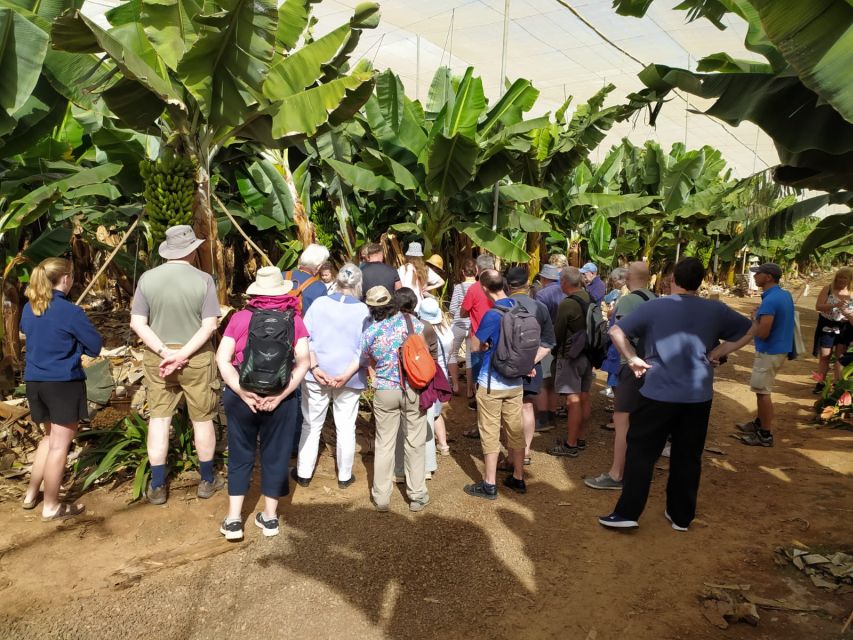 Tenerife: Finca Las Margaritas Banana Plantation Experience - Visitor Preparation and Amenities