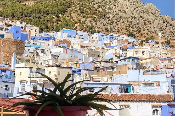 Tetouan & Chefchaouen Blue City Day Trip From Tangier - Tour Highlights
