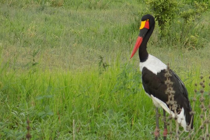 The Amaizing Private Day Trip to the Lovely Arusha National Park - Included Amenities and Activities