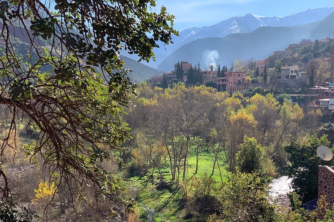 The Atlas Mountains and 5 Valleys Day Trip From Marrakech With Berber Lunch - Traveler Experiences