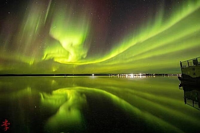 The Best Aurora Tour - Customer Feedback