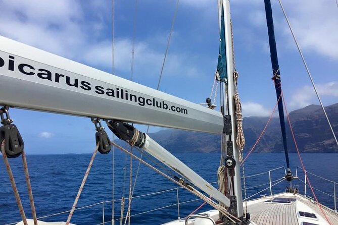 The Giants Cliffs Small-Group Sail Tour With Lunch - Wildlife Encounters