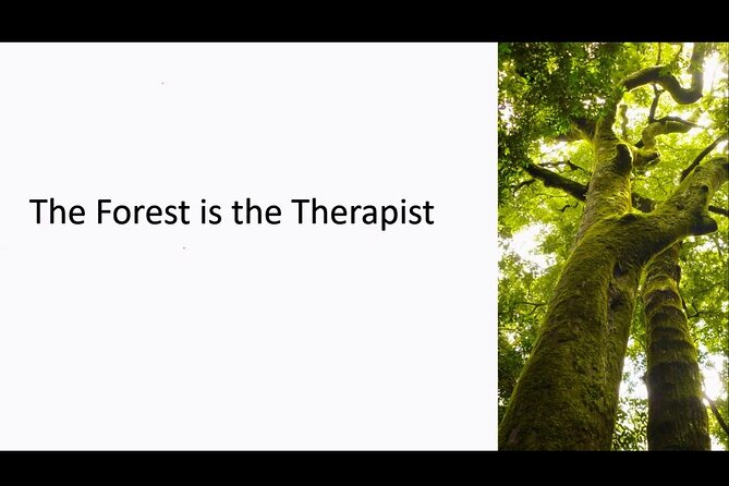 The Great Forest Immersion Tour in Canada - Participation Requirements