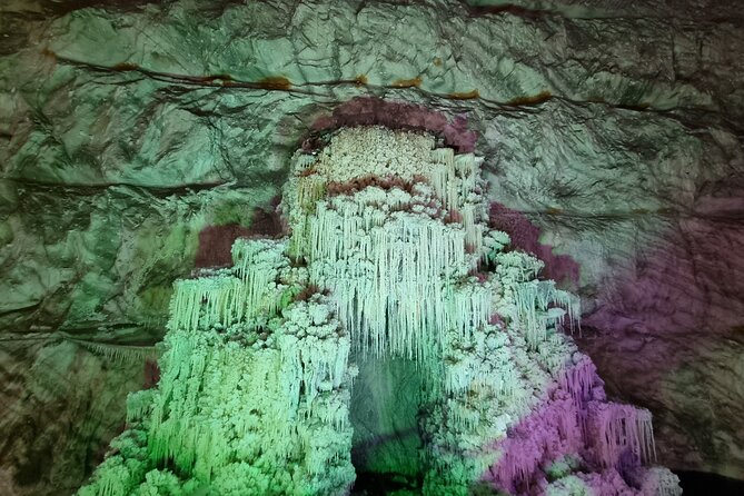 The Largest Salt Mine , Winery and Dracula Grave- Private Tour - Transportation and Logistics