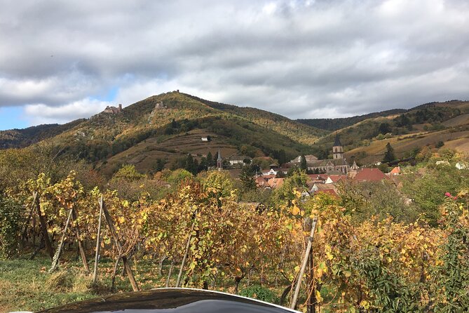 The Little Alsatian Tour With a Local Private Friendly Driver and a Tesla - Scenic City Exploration