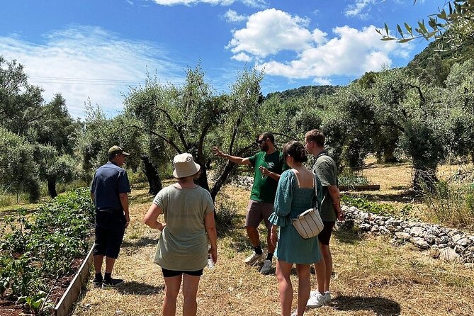 The Olive Oil Experience @ Lefkada Micro Farm - Pressing Your Own Olive Oil
