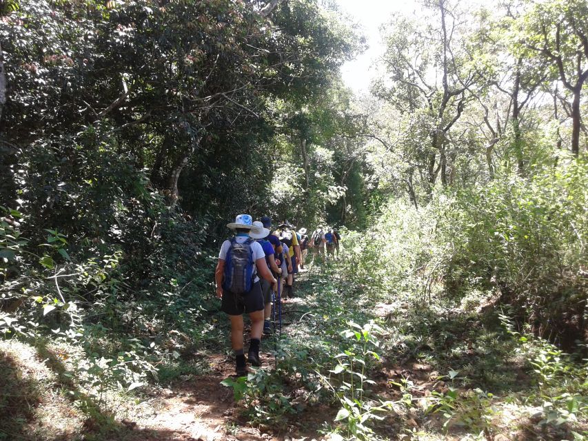 The Pekoe Trail, Stage 12, Trekking Fm Udaweriya To Haputale - Diverse Forest Landscapes