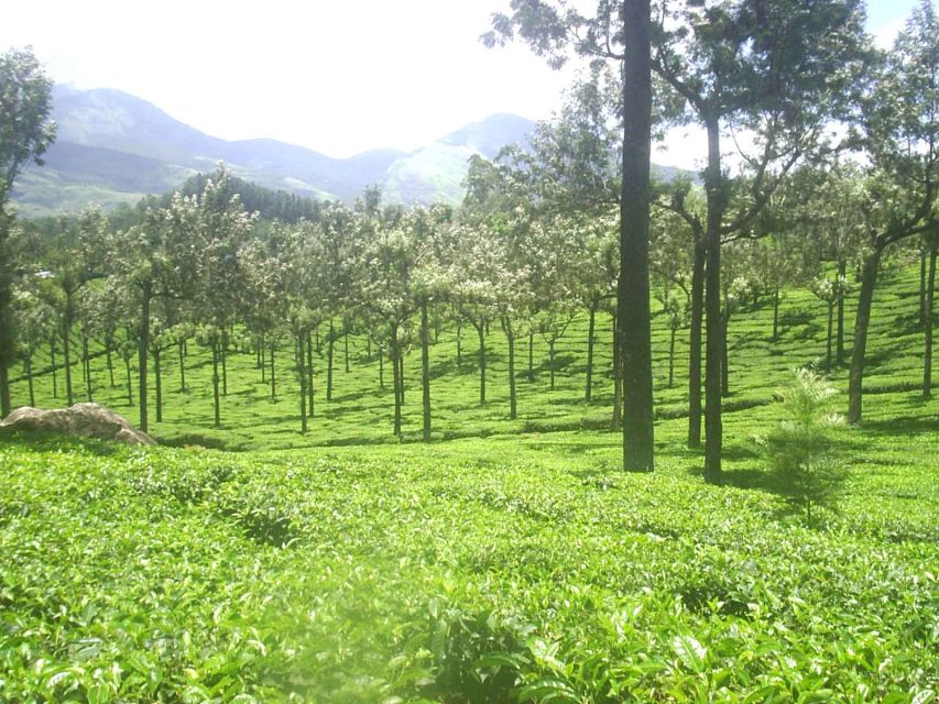 The Pekoe Trail, Stage 14,St. Catherine To Makulella - Weather and Preparation