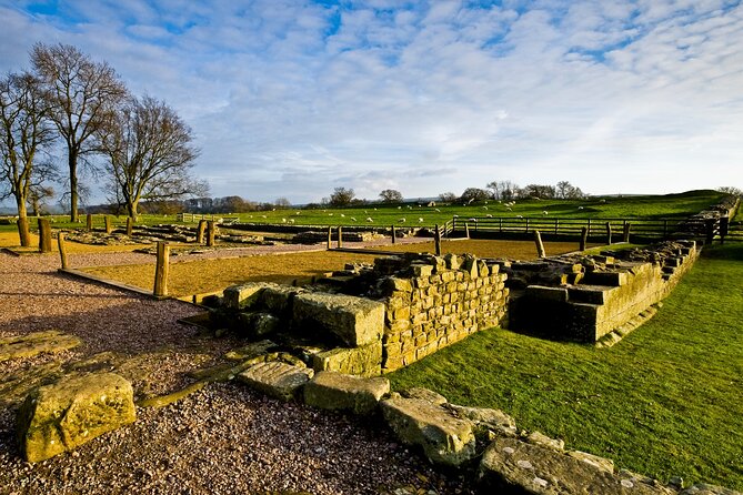 The Romans and Hadrians Wall Day Tour From Windermere - Customer Reviews and Feedback