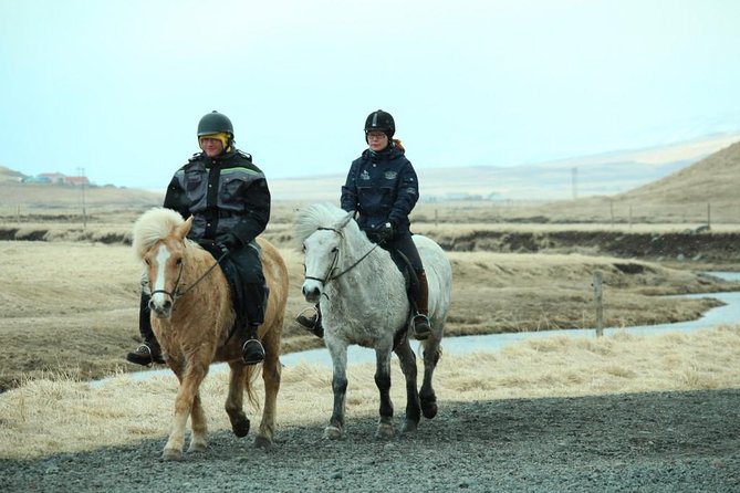 The Viking Horse Riding Experience in North Iceland - Reviews and Feedback