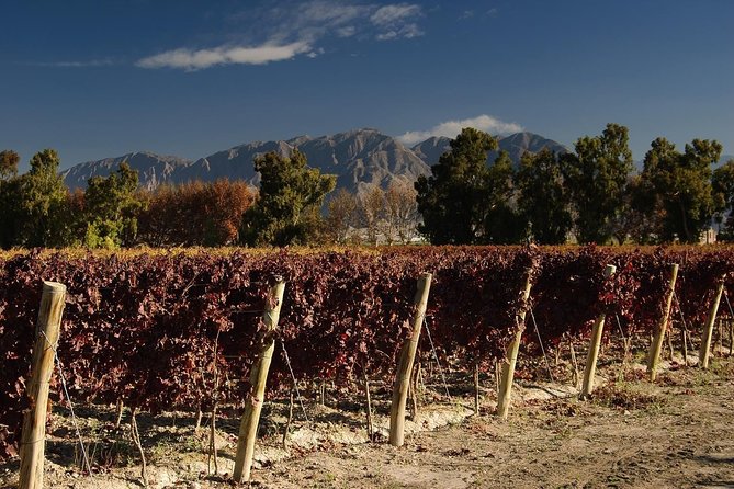 The Wine Route From San Juan - Tour Size and Pricing
