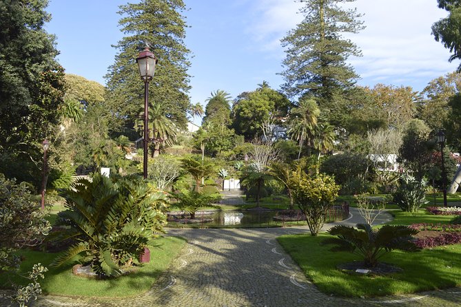 Third Island Angra Do Heroismo Walking City Tour - Discovering Local Flora