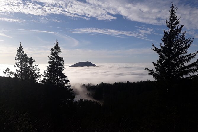 Three-Summit Hike in Bergen - Scenic Views and Exploration