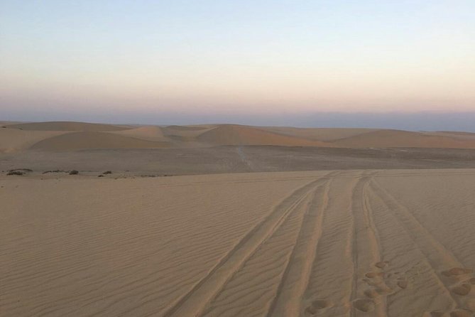 Thrilling Budget Desert Safari Adventure in Doha, Qatar - Tips for Travelers