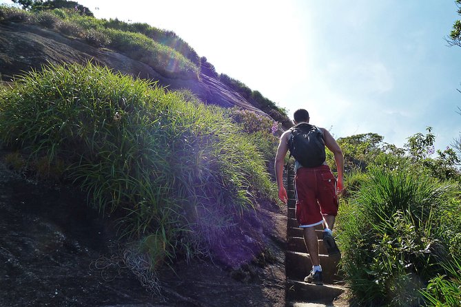 Tijuca Rainforest Hiking Tour in Rio De Janeiro - Scenic Views and Waterfall