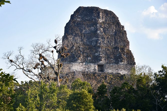 Tikal Full-Day Group Tour - Included in the Tour
