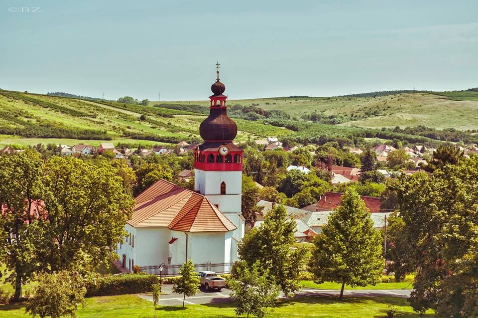 Tokaj and Sárospatak Private Day Tour From Budapest - Travel and Accessibility