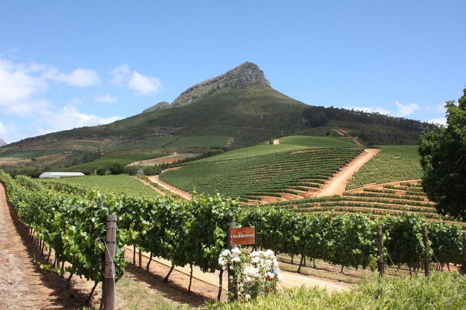 TOP THREE WINELANDS PRIVATE TOUR With Pairings - Important Information