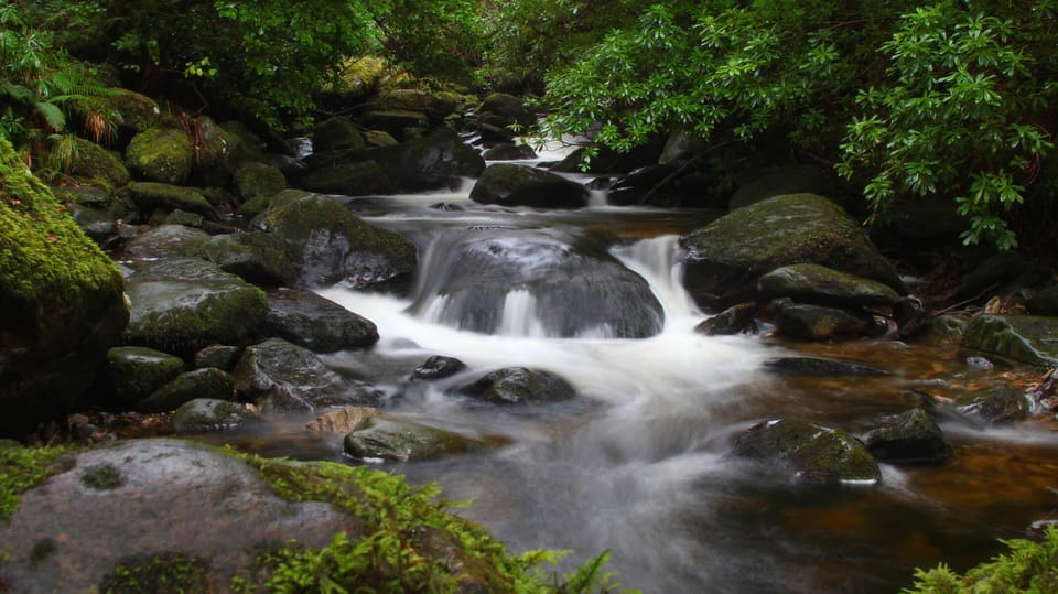 Torc Waterfall & Mountain Hike. Kerry. Private Guided. - Frequently Asked Questions