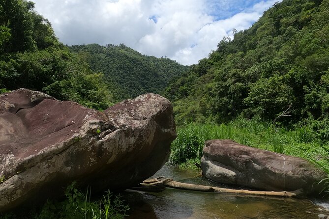 Toro Negro River Hike & Cliff Jumping Adventure; San Juan Pick Up - Traveler Requirements and Restrictions
