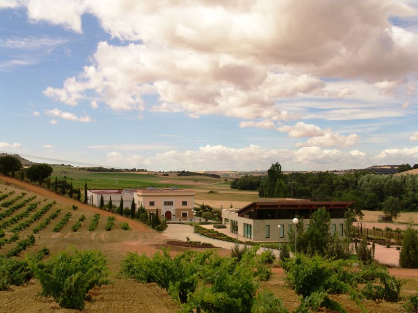 Toro: Piedra Winery Tour and Tastings - Surrounding Nature and History