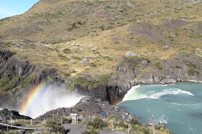 Torres Del Paine National Park - Experiencing Local Flora and Fauna