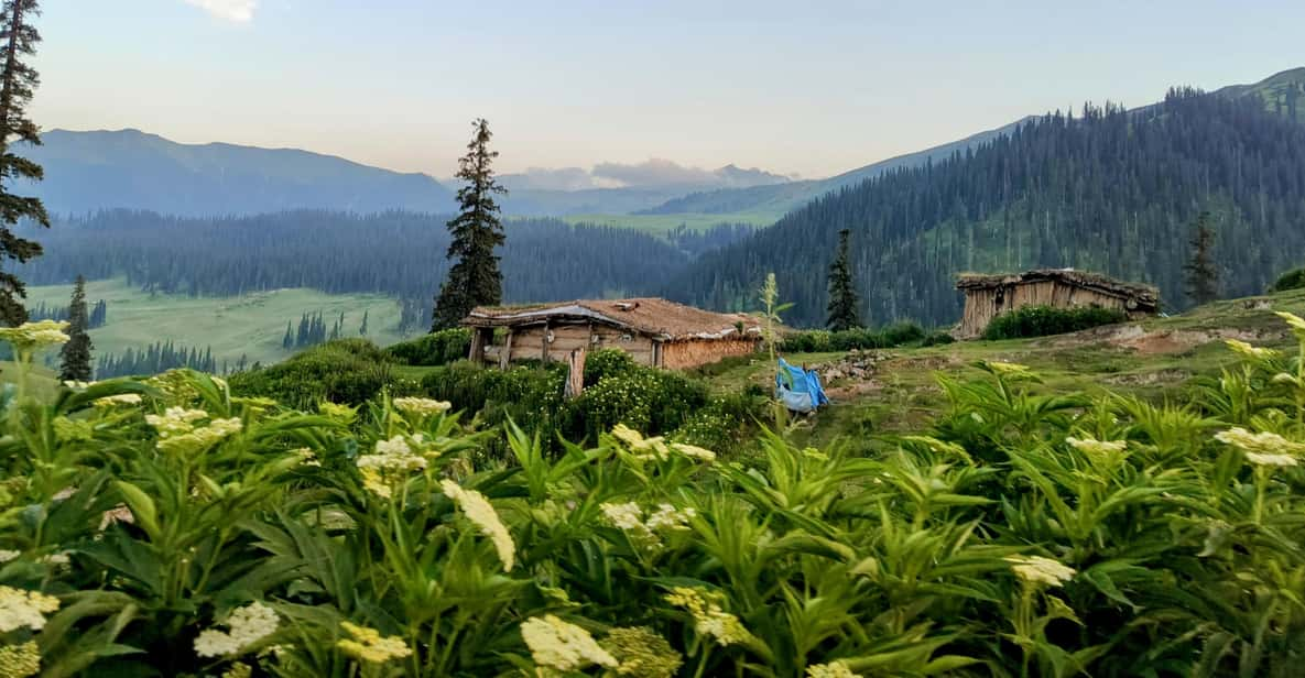 Tosa Maidan - The King of Meadows - Hiking and Exploration