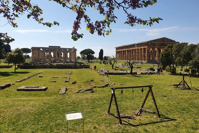 Tour at the Temples and the National Museum of Paestum - Meeting Point and Pickup Details