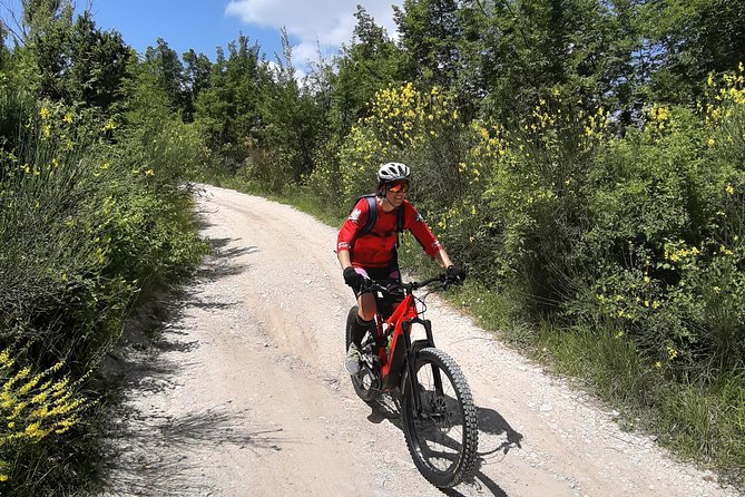 Tour in Ebike Furlo Gorge Reserve and Truffle - Exploring Furlo Gorge