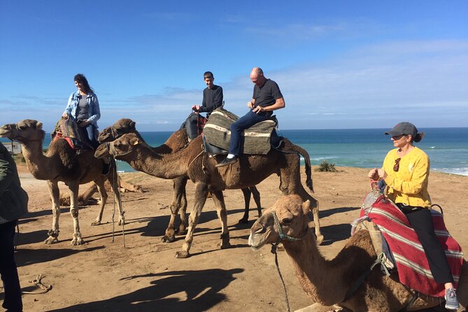 Tour of Tangier 3-6 People - Tour Requirements