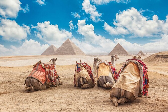 Tour to Cairo and the Pyramids From Hurghada by Private Vehicle - Logistics and Schedule